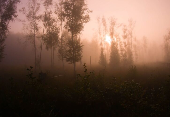 Fotosafari – Köpenick im Nebel