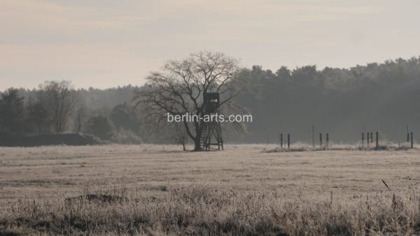 Triptychon Erpetal – Bild 2