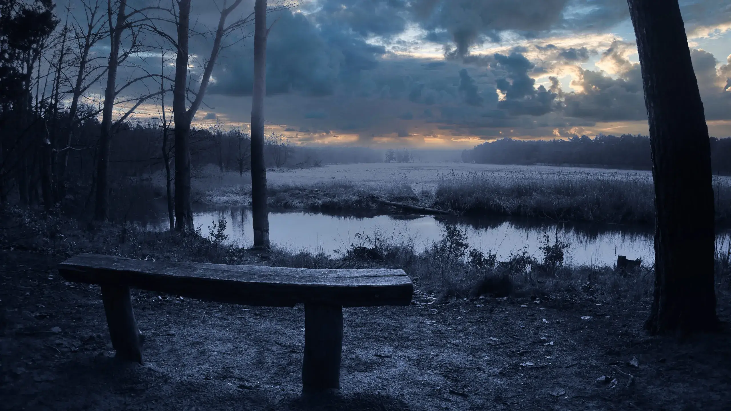 Frostiger Morgang an einer Flussaue