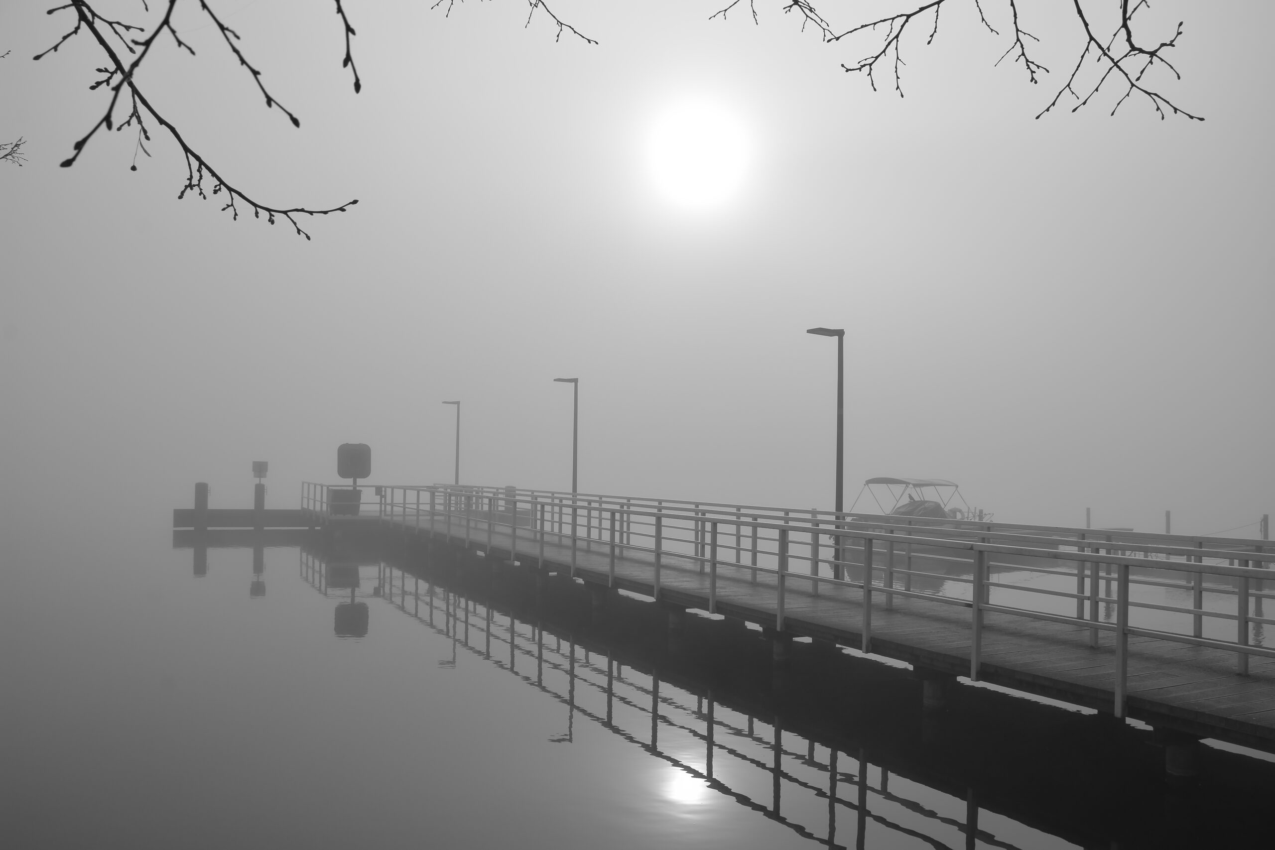 DSC_5065