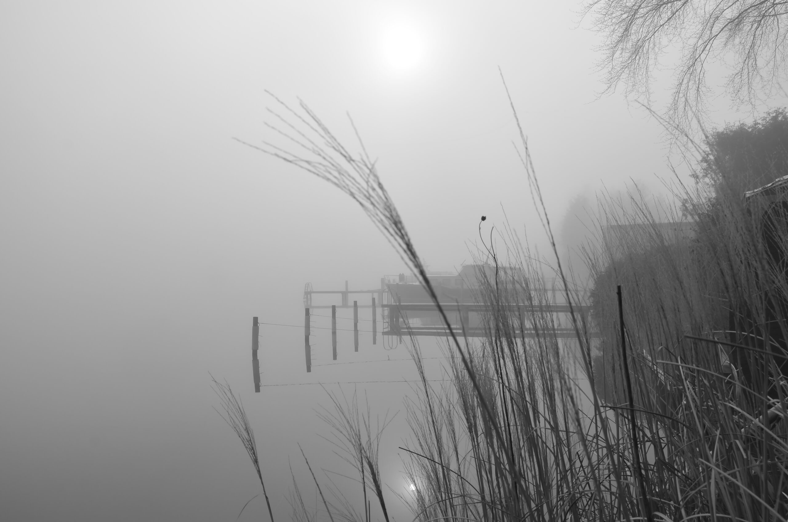DSC_5084