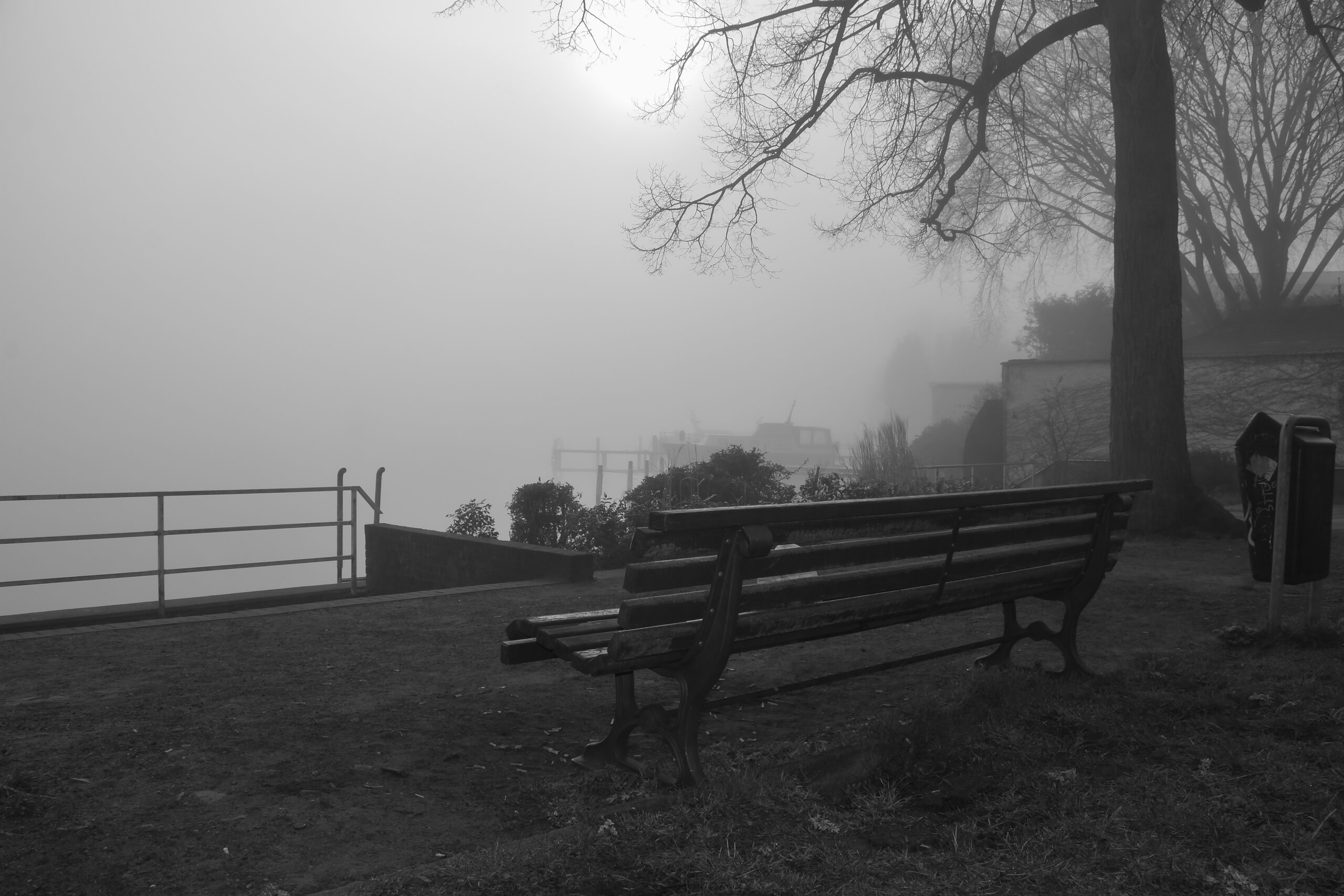 DSC_5092