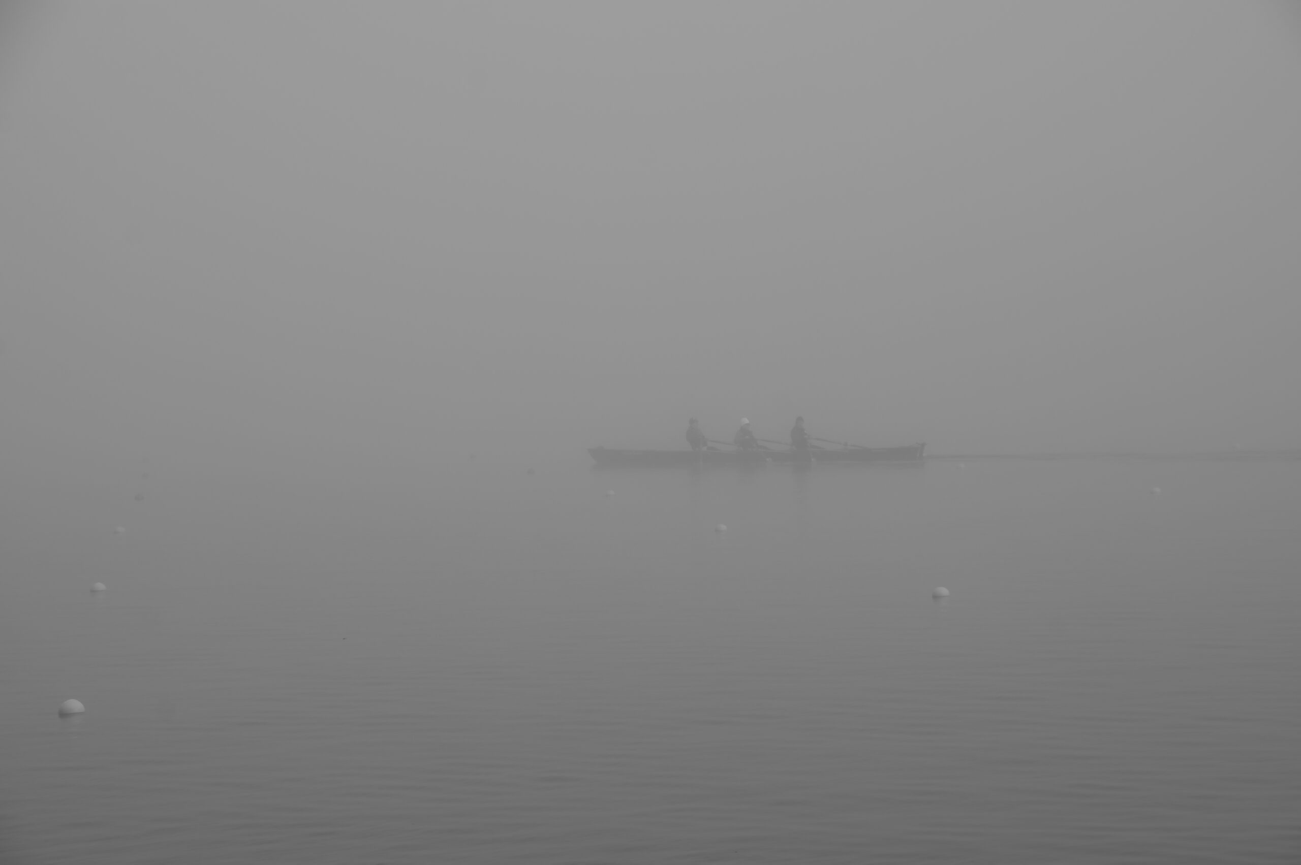 DSC_5155