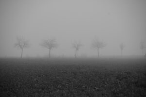 DSC_5255