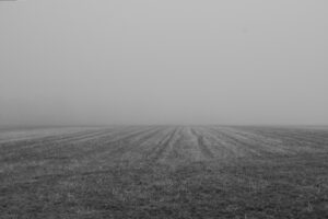 DSC_5267