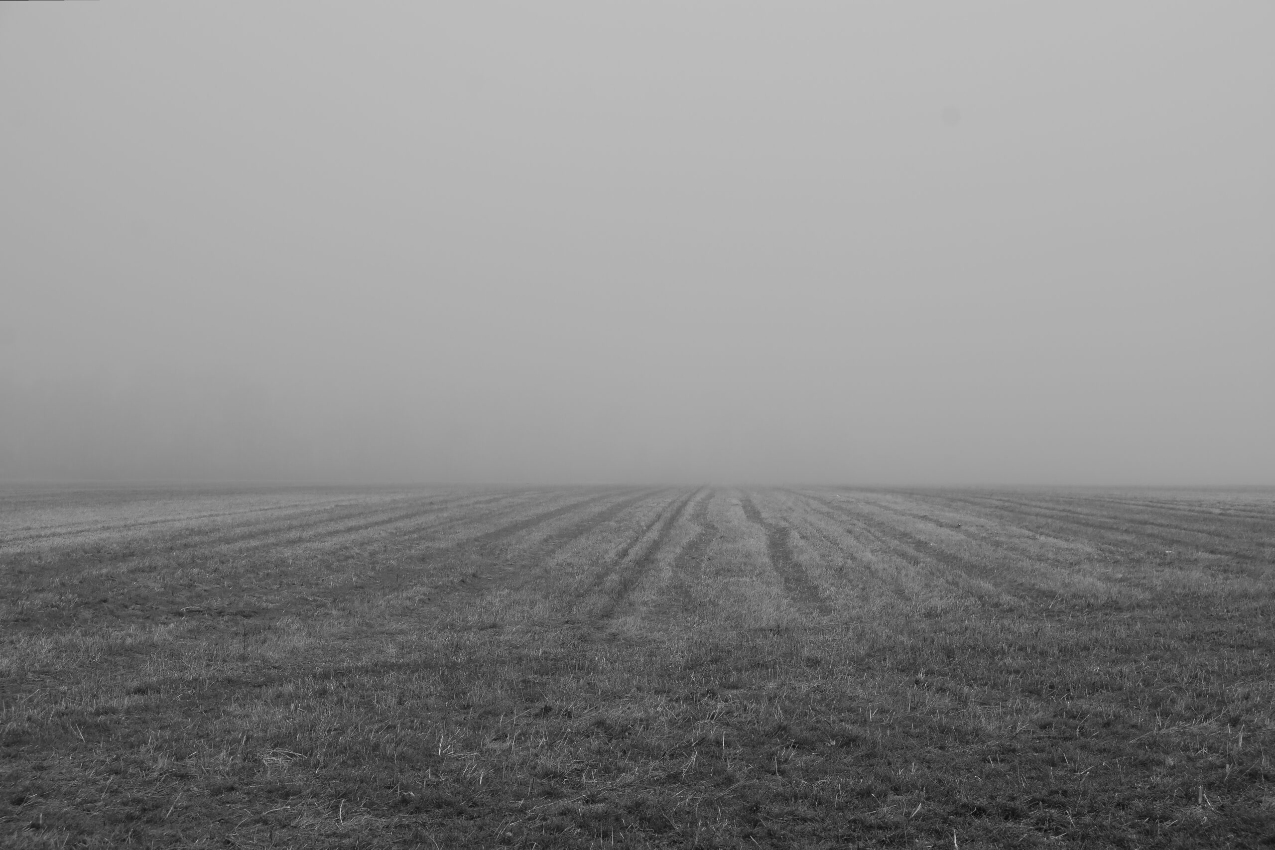 DSC_5267