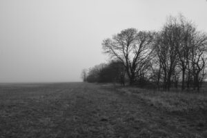 DSC_5271