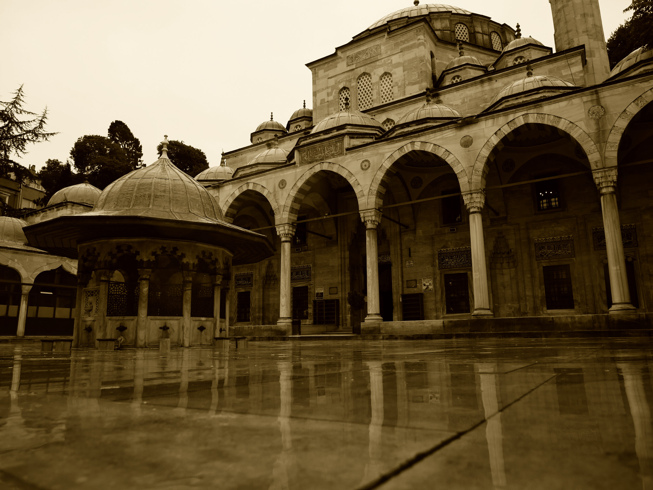 P1080607