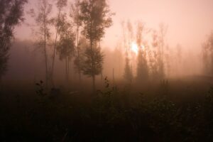 Köpenick im Nebel