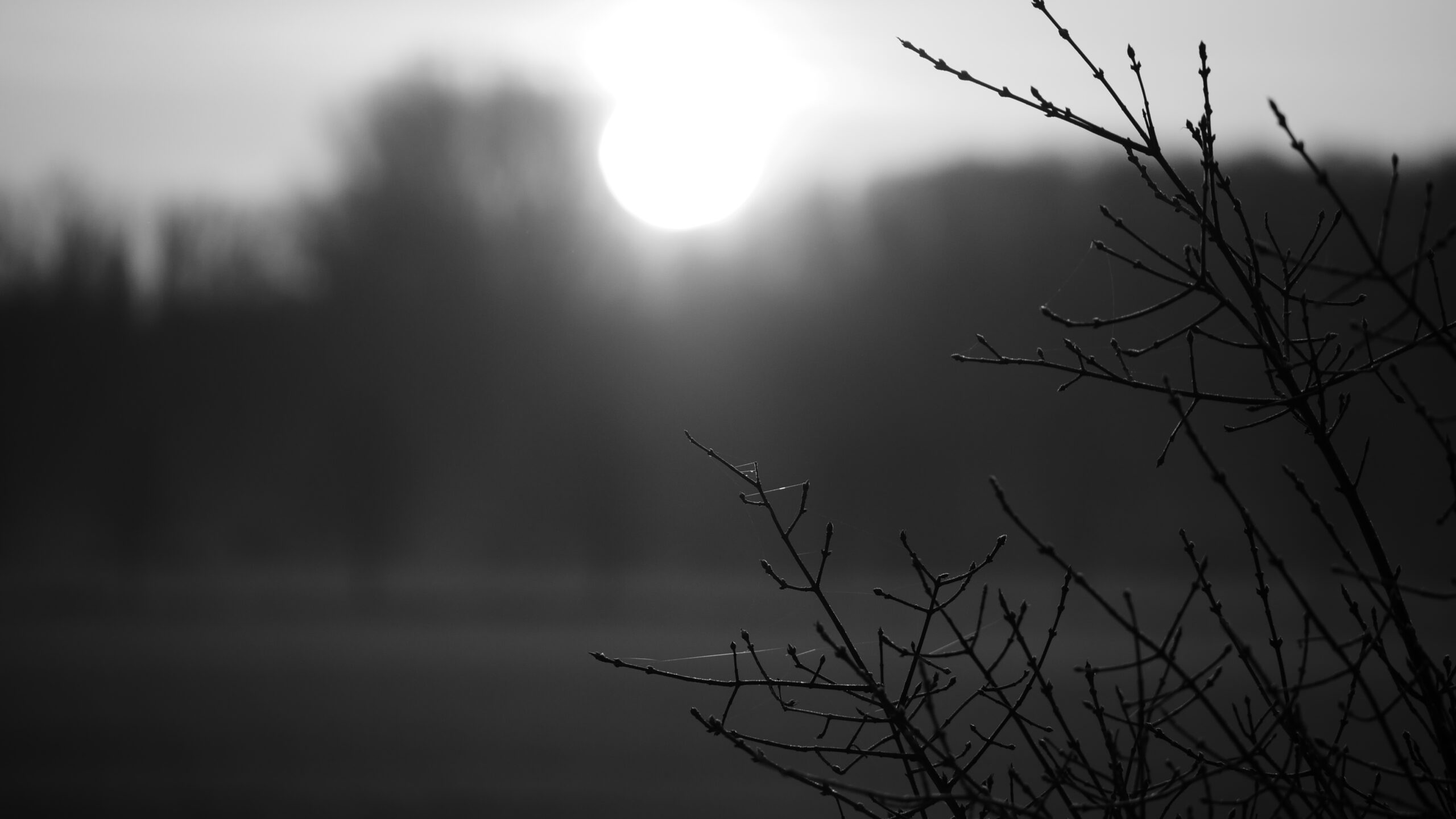 P1010730