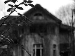 P1030169