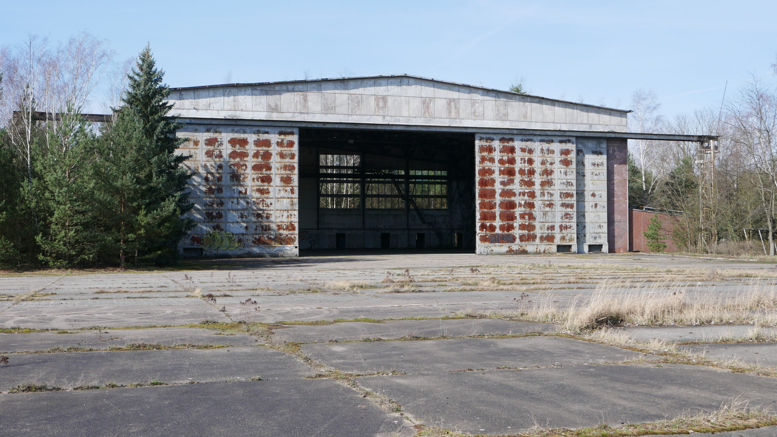 P1030369