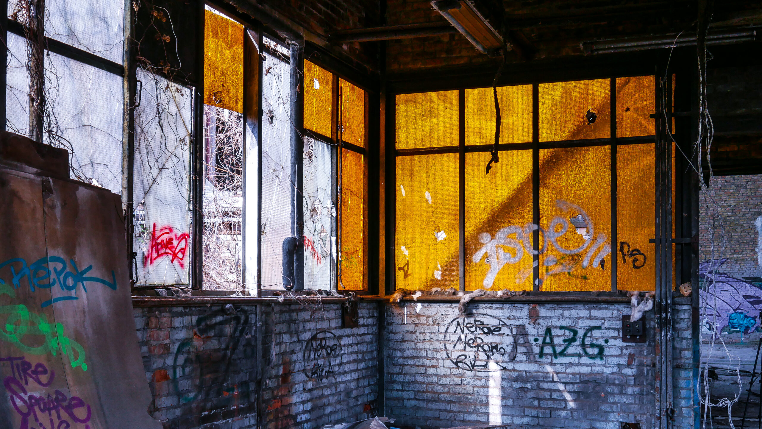 P1030587-2