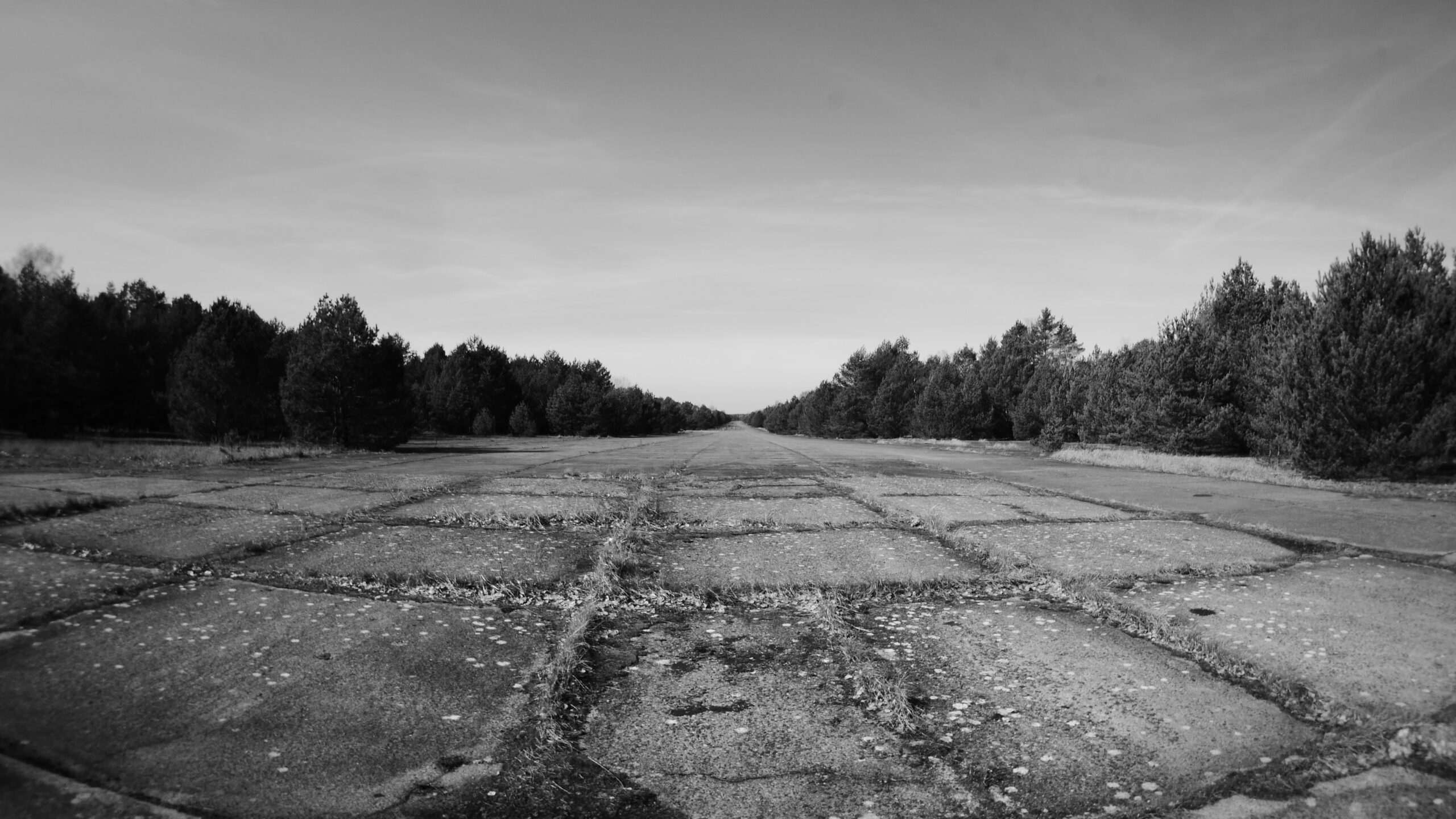 P1070829