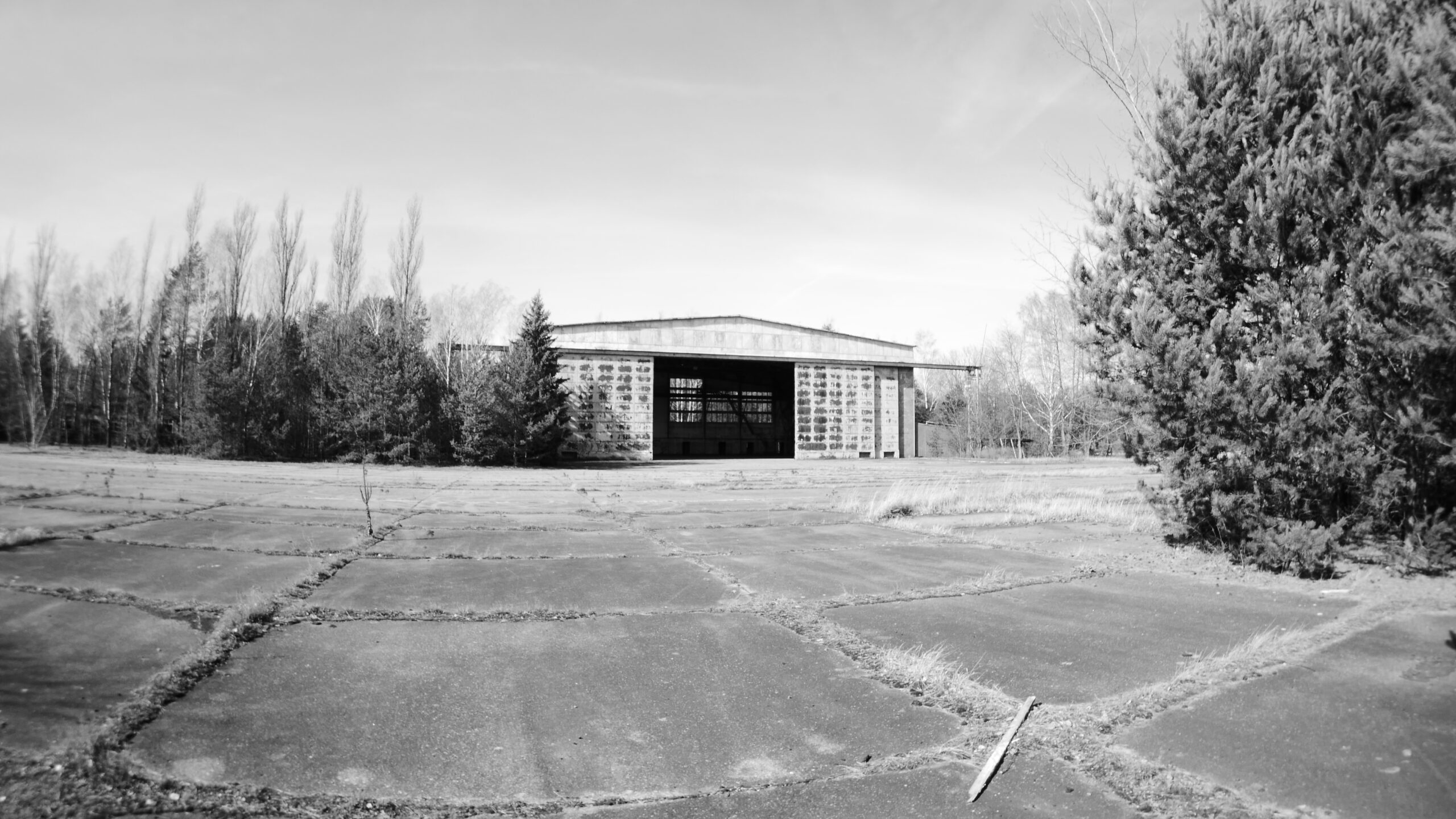 P1070839