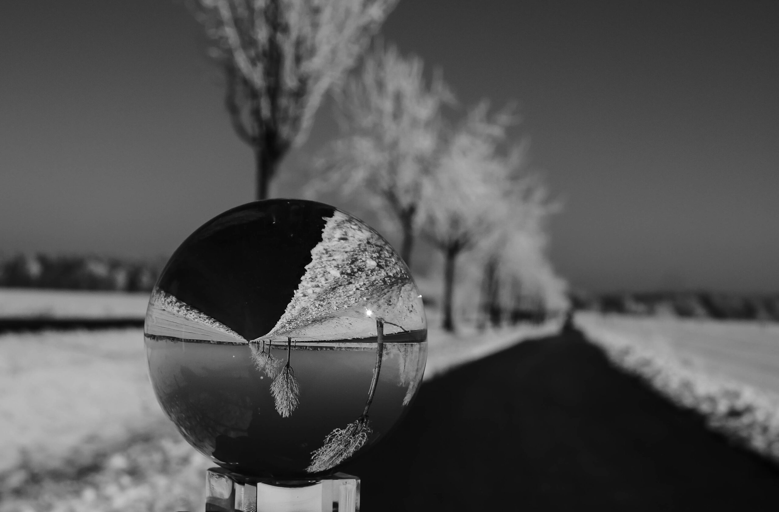P1080161