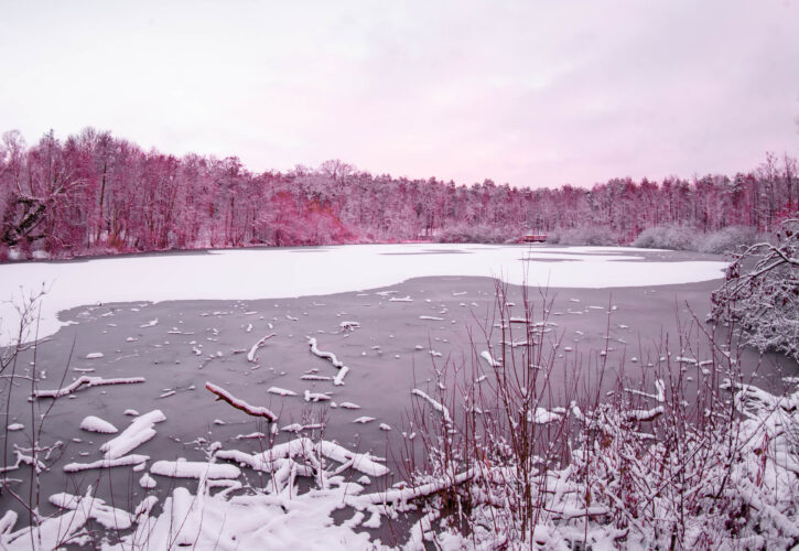 Winterzauber: Wenn die Welt in Weiß erstrahlt