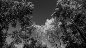 P1130039