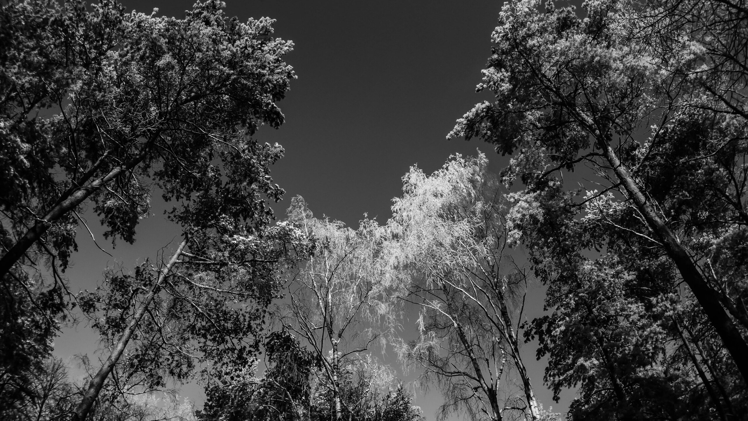 P1130039