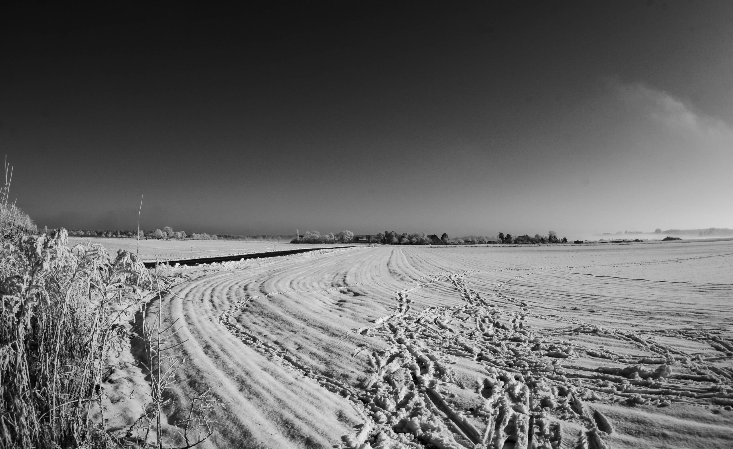 P1130044