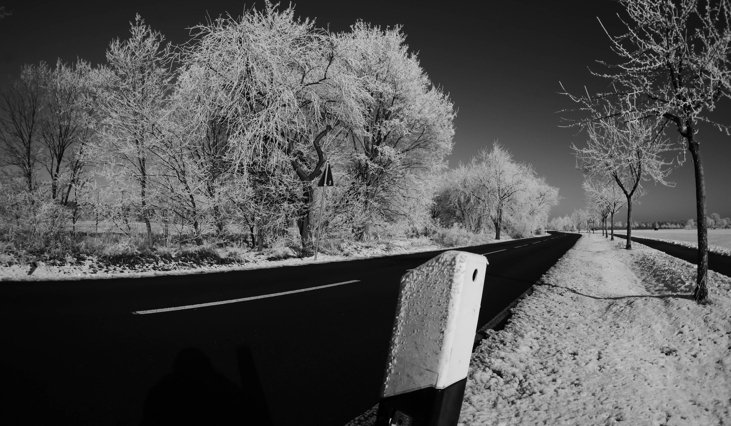 P1130059
