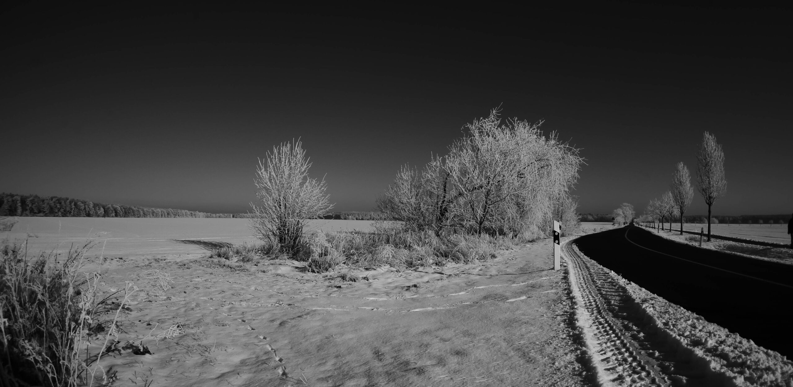 P1130066