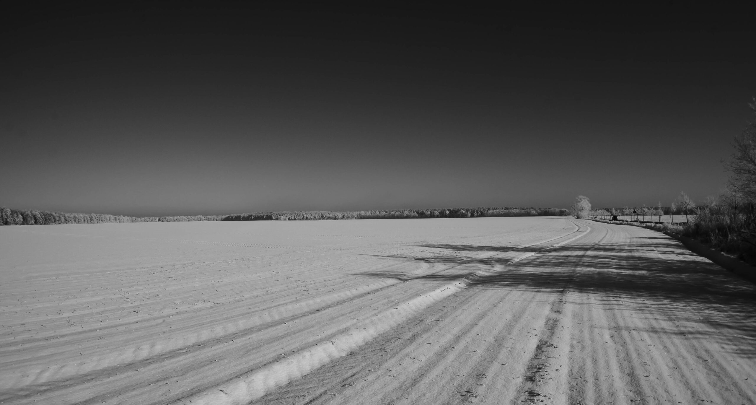 P1130068