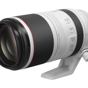 Canon RF 100-500mm 4.5-7.1 L IS USM