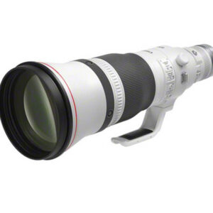 Canon RF 600mm 4.0 L IS USM