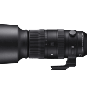Sigma Sports 60-600mm 4.5-6.3 DG DN OS für L-Mount