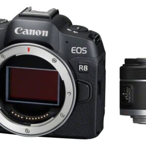 Canon EOS R8 + RF 50mm 1.8 STM